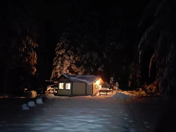 /_next/static/immutable/media/snowy-night.3jqm76dy7mgr_.webp