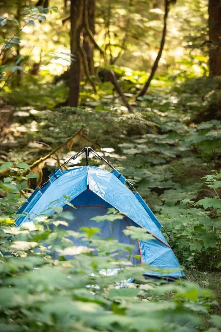 /_next/static/immutable/media/blue-tent-02.0ut77lfyjflty.webp