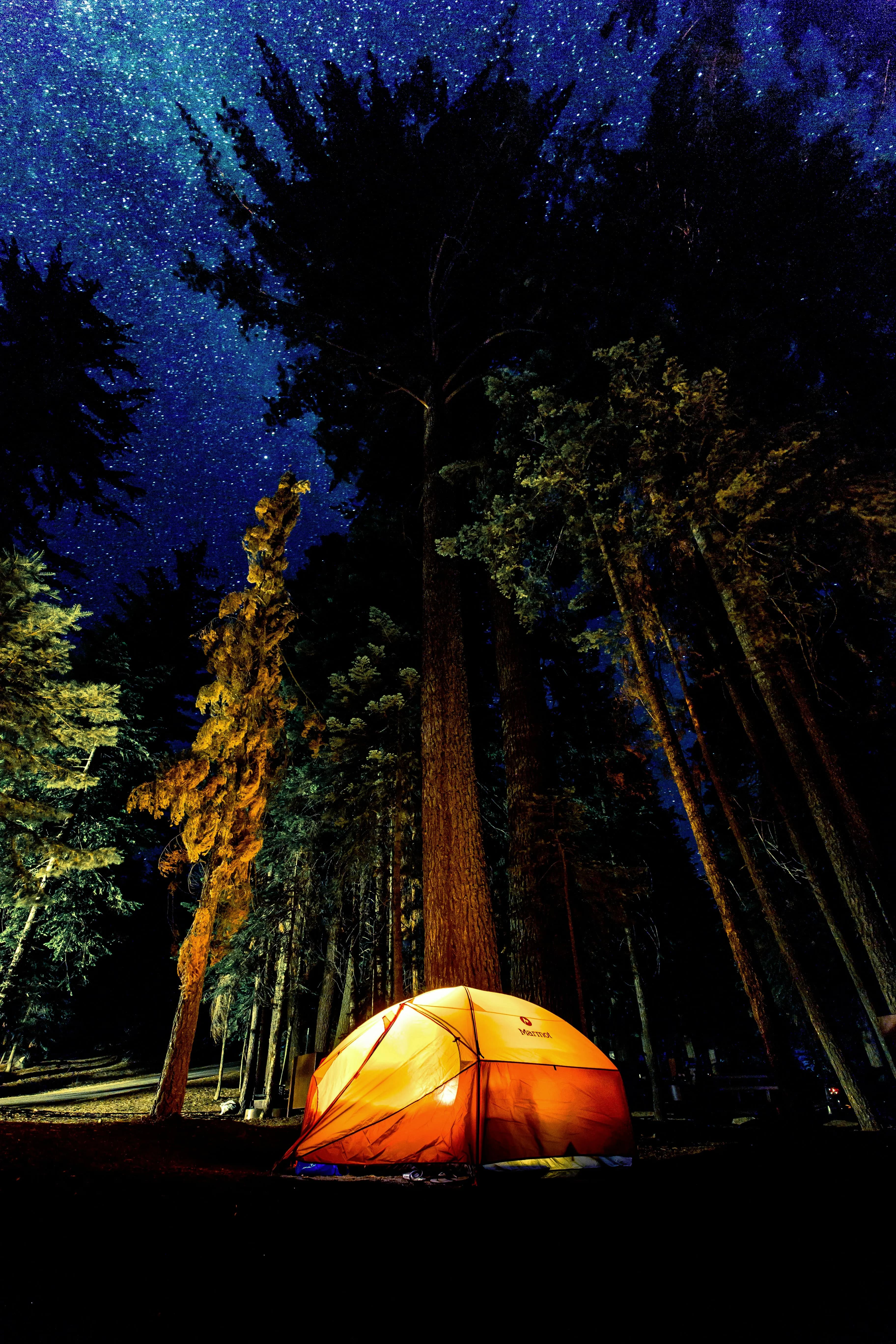 /_next/static/immutable/media/camping.1m4esp-i681z0.webp