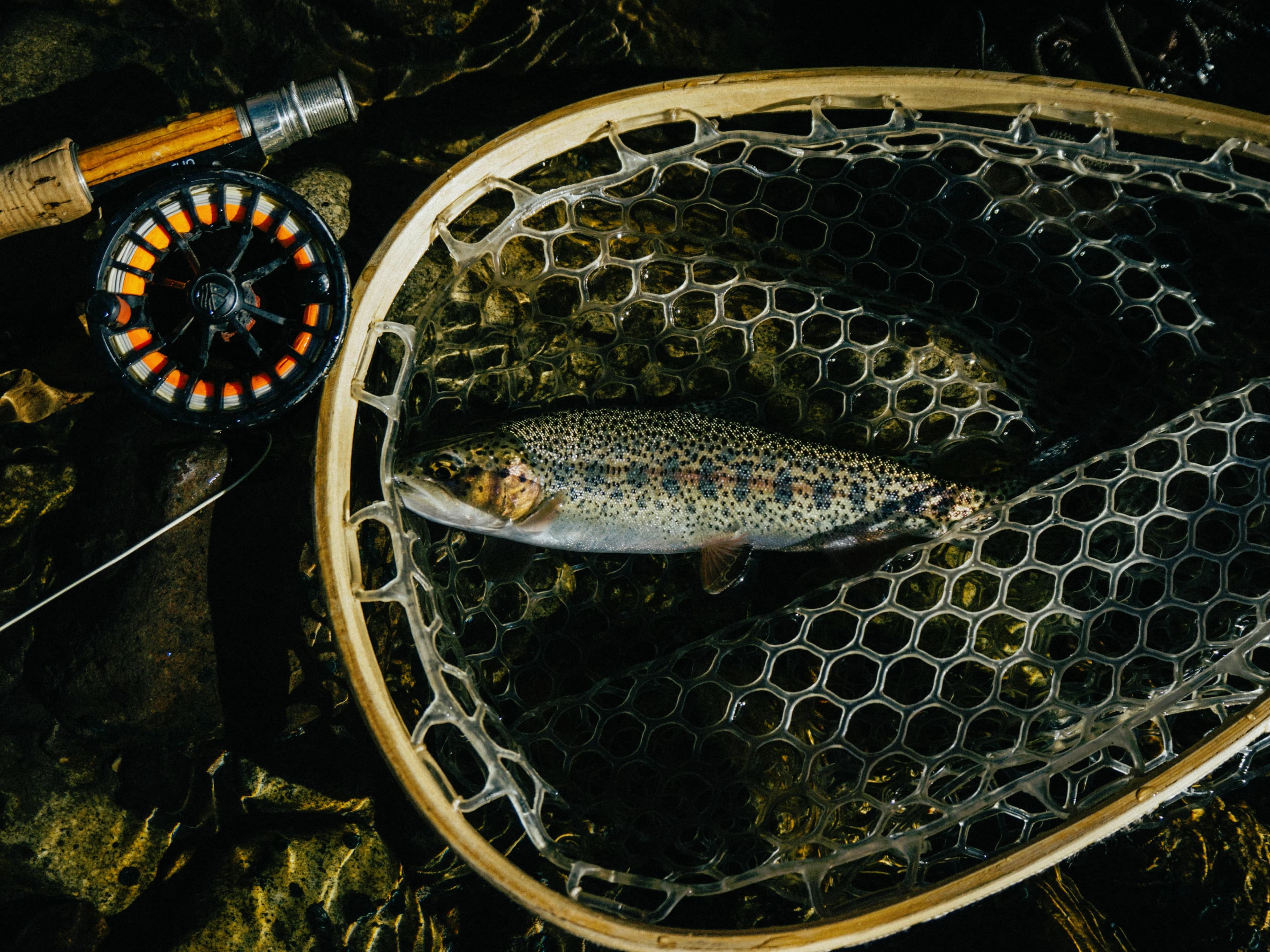 /_next/static/immutable/media/fly-fishing.3lm9t3yhqlx6x.webp