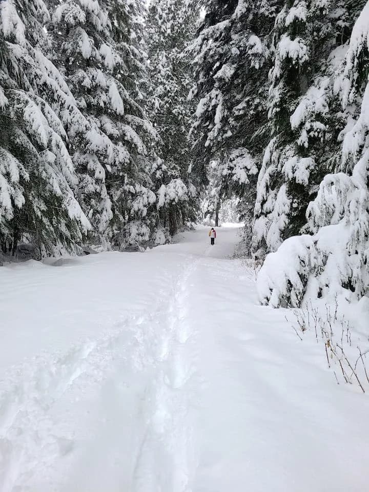 /_next/static/immutable/media/valhalla-snow.39d1y6mccat45.webp
