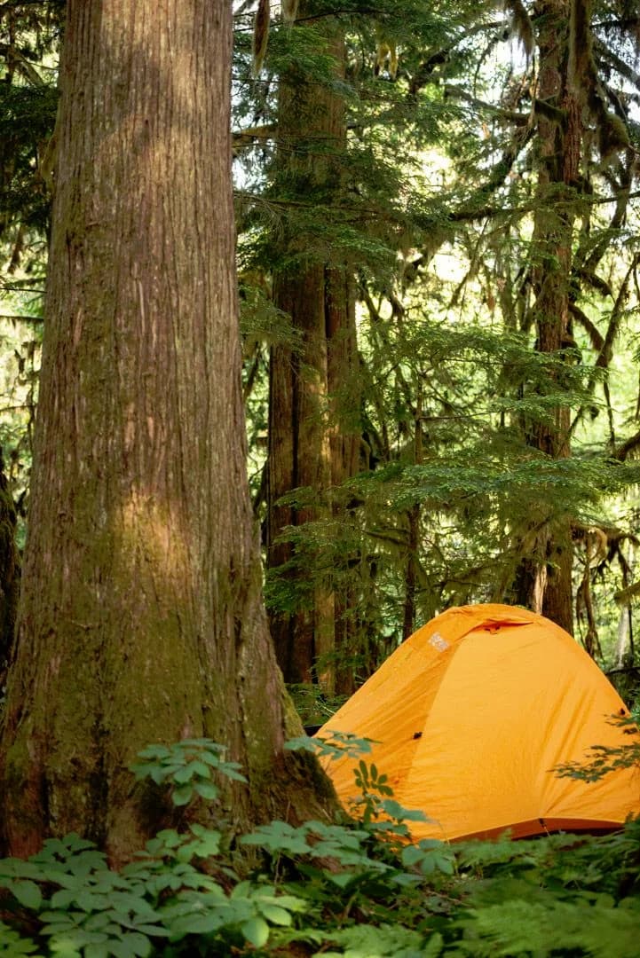 /_next/static/immutable/media/yellow-tent.05_dpm6o2xt0n.webp